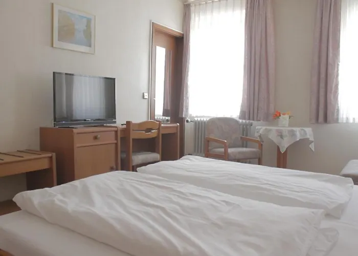 Han/Misafirhane Rose *